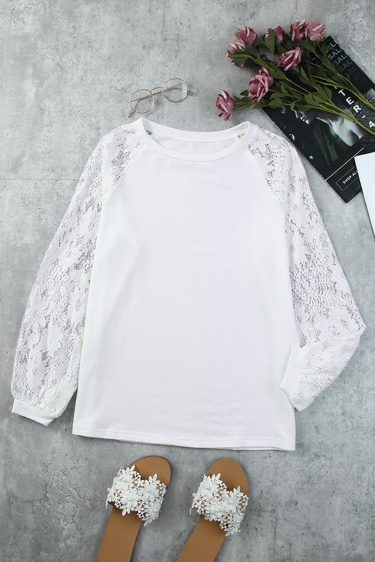 Lace Raglan Sleeve Round Neck Top