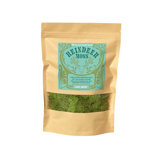 Preserved Reindeer Moss - Light Green - 6 oz