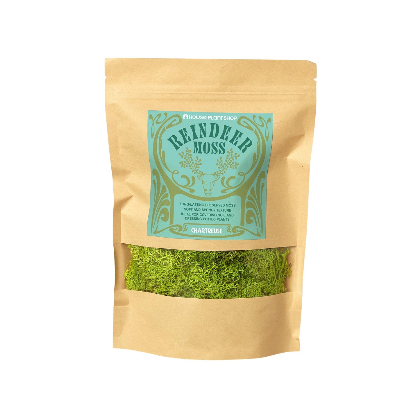 Preserved Reindeer Moss - Chartreuse - 6 oz