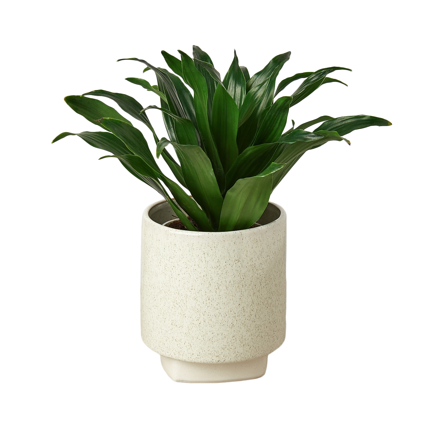 White Croix Planter - 3 Inch