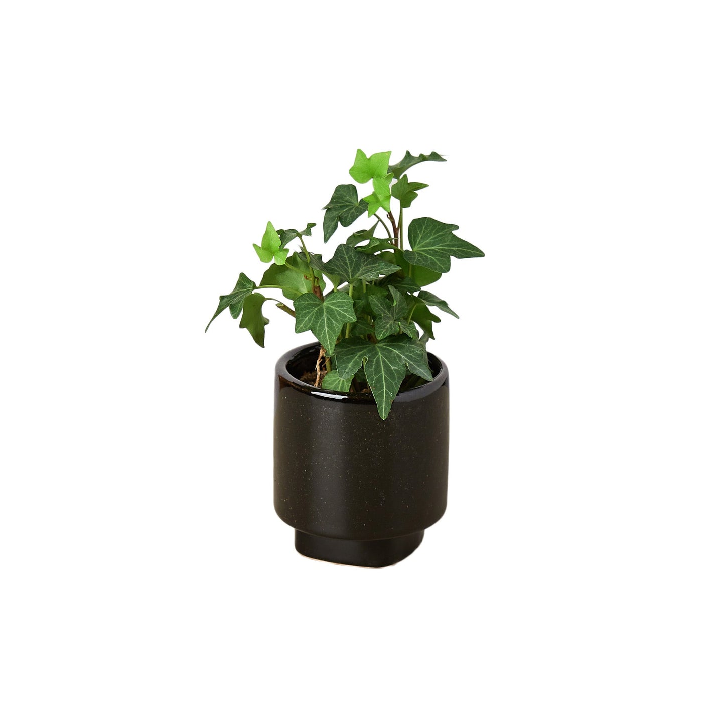 Croix Planter - 3 Inch