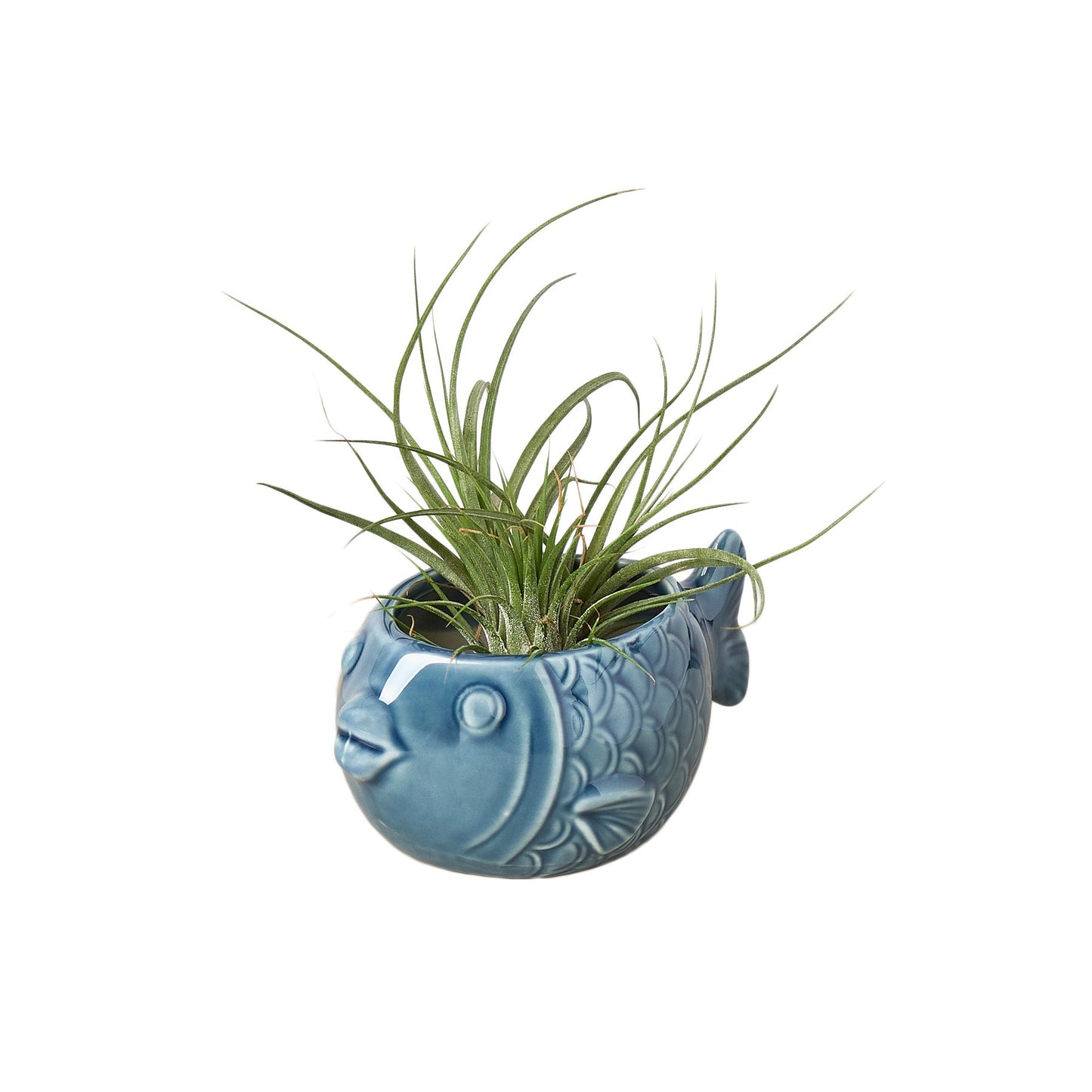 Small Animal Planter 'Fish'