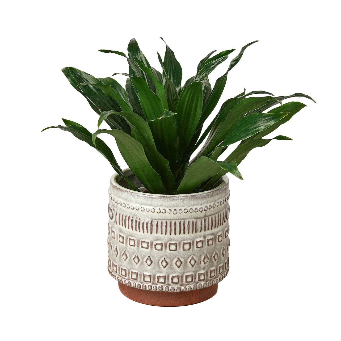 Freja Pot - 5 Inch