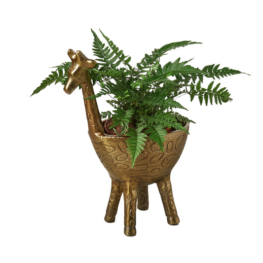 Gia Giraffe Planter