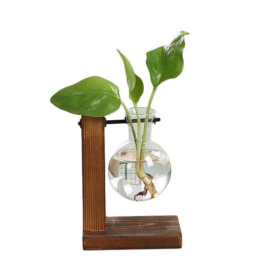 Hydroponic Vintage Vase