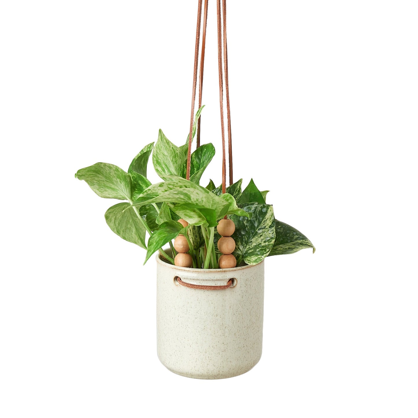 Tomi Hanging Planter - 4.5 Inch