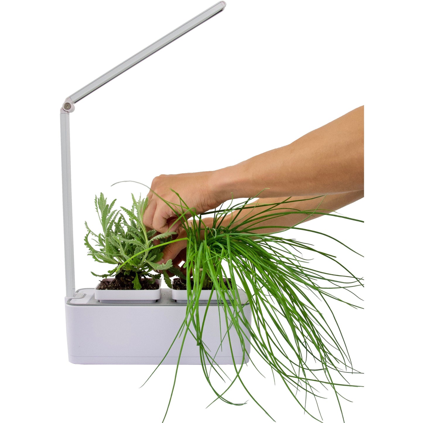 Indoor Herb & Houseplant LED Hydroponic Grow Kit