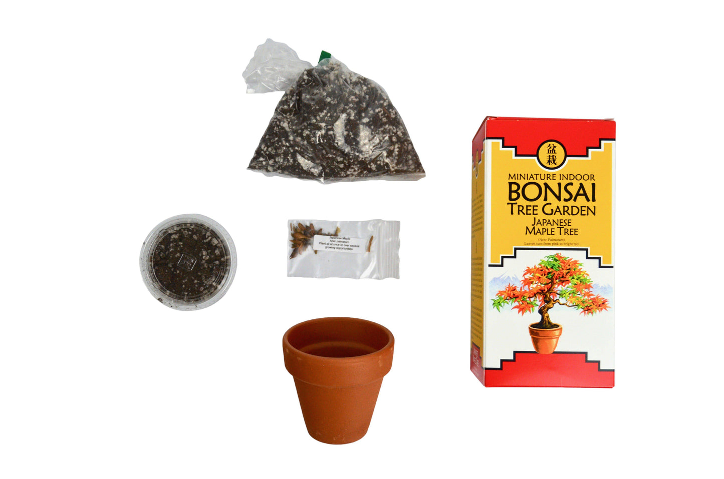 Bonsai Tree Garden DIY grow kit with Japanese Maple Tree Seeds