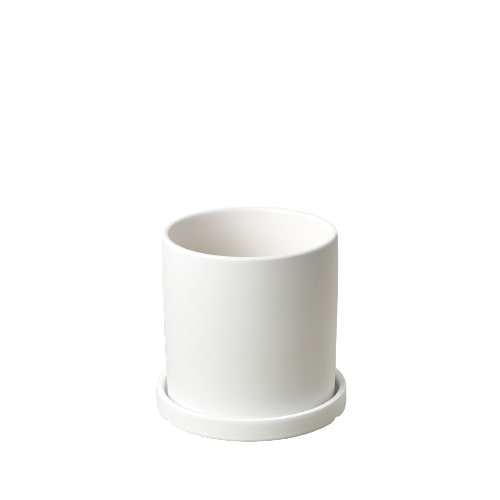 Matte Finish Cylinder Pot - 5.5 Inch